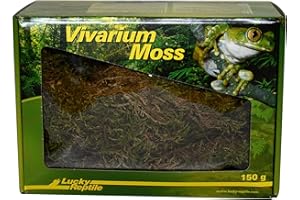 Lucky Reptile Vivarium Moss - 150 g Musgo para terrarios para Reptiles - Musgo Fresco de Cultivo controlado - Musgo para Aumentar Humedad del Aire - Musgo decoración para terrario - Accesorio réptil