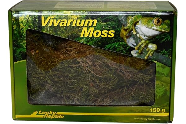 Lucky Reptile Vivarium Moss - 150 g de Mousse pour Terrarium - Mousse fraîche de Culture contrôlée - Augmente l'humidité de l'air - Mousse déco Terrarium - Accessoire pour Reptiles