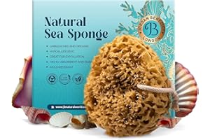 Jordan Benedict Natürlicher Meereschwamm, Naturbelassener Waben-Duschschwamm, Badeschwamm an einem Seil, Naturschwamm, Peelingschwamm, Bio-Dusch Schwamm (1, S)