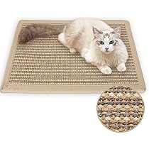 Beste tapijt voor katten 2026 | Voor Katten