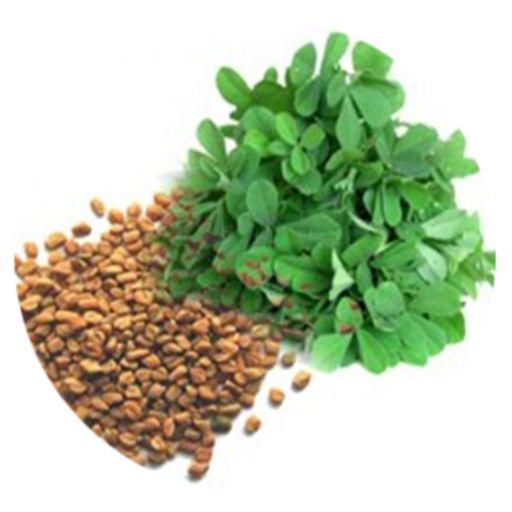 Benefits of Fenugreek Seeds and Leaves Amazon.co.uk Appstore for Android