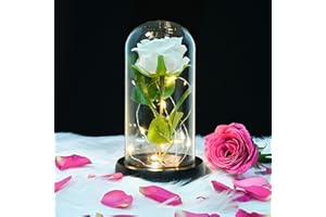 QUELIEN Weiße Rose als Geschenk für sie, weiße Rose, künstliche Blume, Geburtstagsgeschenk für Frauen, Glaskuppel, künstliche weiße Rose, Valentinstagsgeschenk, Geburtstagsgeschenk