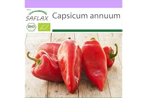 SAFLAX - Ecológico - Pimiento - Marconi Rojo Largo - 20 semillas - Capsicum annuum