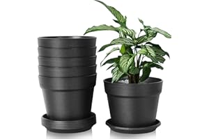 SOLVANT Pack of 6 Flower Pot Flower Pots with Saucer, 20 cm Plant Pot with Multiple Drainage Holes, Round Pots for Indoor and on the Balcony, Juicy Cacti (Black, 20 cm)