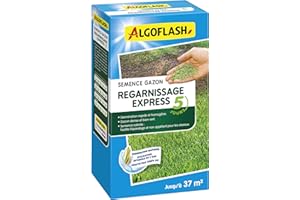 Algoflash Semence Gazon Regarnissage Express 5 Jours - 800 g, Verte