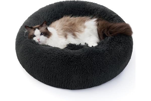 Bedsure Panier pour Chien Lavable et Doux pour Chat - Ø 50 cm Coussin Donut, Lieu de Couchage pour Chats et Chiens Petits, Coussin Rond en Peluche pour Chat, Gris foncé