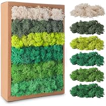Muschio stabilizzato 200g - Muschio decorativo artificiale conservato (finto lichene islandese) - Verde naturale per presepe, modellismo, terrario, parete, decorazioni kunstmoos