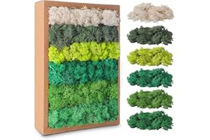 AVAGIAFORU Islandmoos, Moos in 5 versch 200g für Moosbilder, Konserviertes Moos, Moos zum Basteln, Moos Deko, Künstliches Moos, Moos Konserviert, Deko Moos, Bastelmoos, Kunstmoos für Basteln (B)