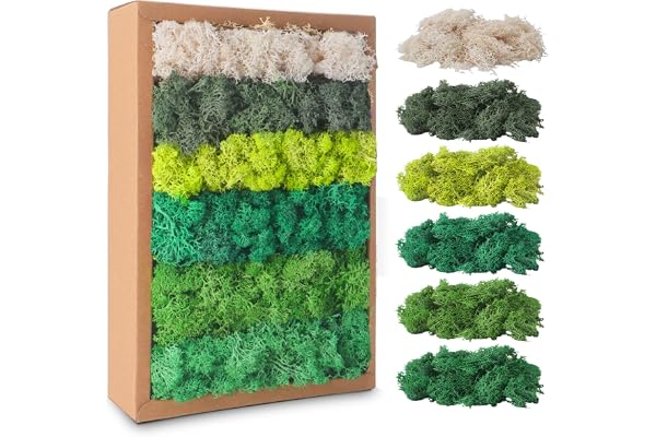 Mousse de Renne, Mousse Stabilisée, Mousse Naturelle Séchée, Mousse Préservée, Mousse Décorative 200g, 6 Différentes Couleurs, pour les Tableaux de Mousse, Comme Décoration ou pour l'artisanat