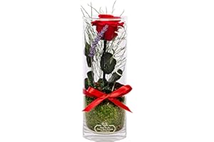 Rosen-Te-Amo |Ewige Rose am Stiel im Glas, duftend, handgefertigt,|Echte ewige Rose Geburtstagsgeschenk für Frauen, Mama|Konservierte Blume zum Weihnachten, Valentinstag, Muttertag, Deko Geschenk