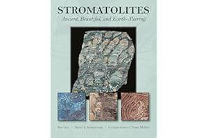 Stromatolites: Ancient, Beautiful, and Earth-Altering