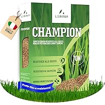 Active Lawn Ammendante Per Prati - Tratta 40m2, Migliora Aerazione E Drenaggio