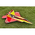 Ft-22 Raptor DIY Rc Plane Speed Build Kit, Jet Fighter Stunt RC Airplane Aircraft Fighter, Rc Plane, Tanish Rc