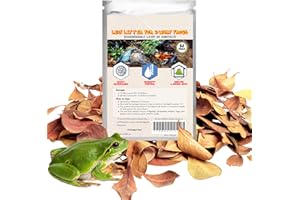 SunGrow 50 pcs Dwarf Frog Leaves, Tropical Fish, Water Treatment Terminalia Leaf, 2 Inches, Mini Indian Almond Catappa Leaves for Microfauna, Aids in Reproduction, Regulate pH of Substrate