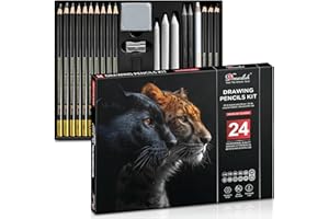 DRAWLISH Drawing Set for Adults Pack of 24 - Drawing Pencils for Artists & Professionals - Ideal Sketching Pencils Art Set for All of Your Creative Needs