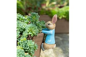 Pot Buddies Beatrix Potter Peter Coniglio da appendere a forma di vaso – ornamento da giardino – Figura decorativa per fioriera