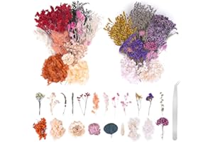 GOTFUN 2 Stück Natürliche Getrocknete Blumen Set, Natürliche Gemischte Trockenblumen zum Basteln Deko ​für DIY Epoxidharz Kunsthandwerk,Kerzen Deko,Karten Deko,Scrapbooking,Hochzeitsdekoration