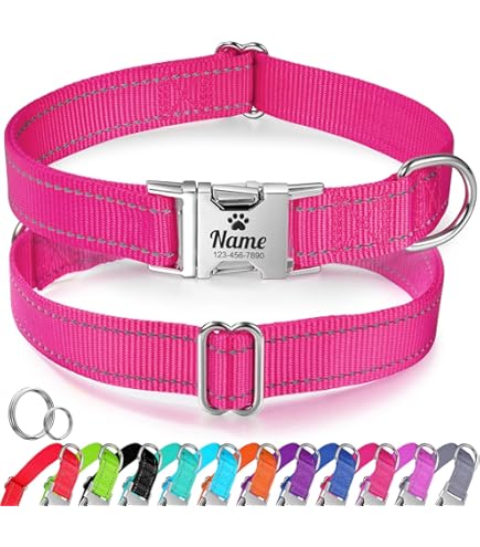 Collare Nylon Riflettente Ricamato Collare Per Cane Ricamato Riflettente - Personalizzabile Con Nome E Telefono, Taglie S-XL Proiettore Logo Personalizzato - Foto 11