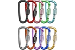 GENERISCH 10 STÜCK Karabinerhaken, Karabiner Schlüsselanhänger Set, Schraubkarabiner mit Schraubverschluss, Bunte Mini Karabinerhaken aus Aluminium, Ideal für Arbeit, Wandern, Camping, Outdoor