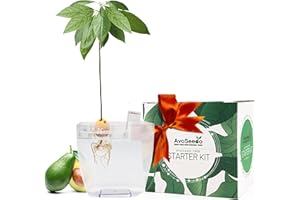 AvoSeedo Grow Your Own Avocado - Unusual Gardening Gifts for Women | Avocado Tree Kit with Plant Pot | Outdoor Indoor Plant | Home Decorations Accessories | Allotment Gifts for Her