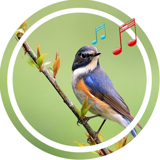 Bird Sound Ringtone Amazon.co.uk Appstore for Android
