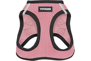 BEST PET SUPPLIES Voyager Step-in Air – Harnais en Maille résistante aux intempéries, réfléchissant, Anti-Traction pour Chiens et Chats de Petite et Moyenne Taille, sécurisé avec Fermeture Auto-agrippante, Boucle,
