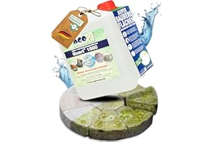 AGO Quart 1000 Grünbelagentferner 5 Liter - chlor- und säurefrei / 1000 qm Algen und Grünbelag Entferner/Steinreiniger/Terrassenreiniger/Grünspan Entferner/Naturstein Reiniger