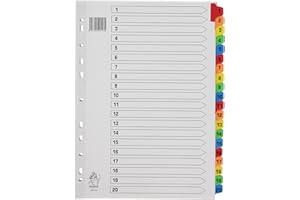 Rexel Mylar Intercalaires en Plastique Renforcés Sections 1 - 20 - A4 - 210x297 mm (Blanc)