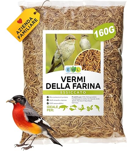 Mangiatoia Da Terra Per Uccelli Selvatici AB Tools, Metallo Rete Nera, Diametro 22 Cm
