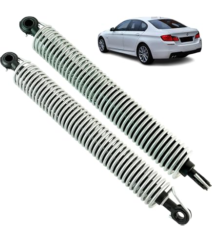 2 Molle A Gas Per Portellone BMW Serie 5 F10 – Ricambio Originale Per 518, 520, 528, 530, 535, 550, M5 (2009-2016)