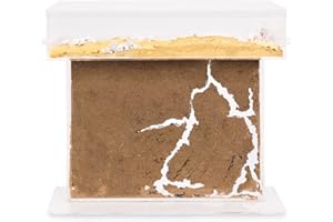 AntHouse - Natural Sand Ant Farm - Acrylic T BIG Kit 25x20x1,5 cm