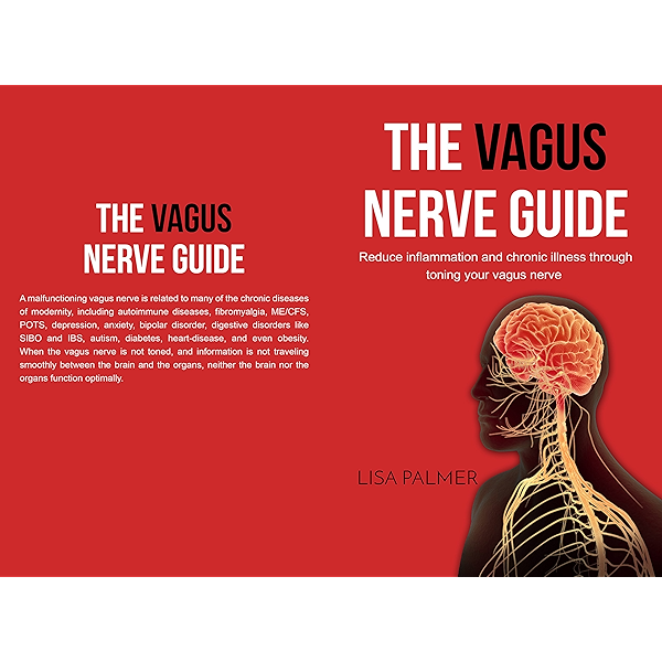 The Vagus Nerve Guide Reduce Inflammation And Chronic Illness Through Toning Your Vagus Nerve Ebook Palmer Lisa Amazon Co Uk Kindle Store