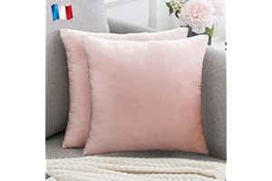Douceur De Plumes Lot de 2 Housses de Coussin Rose Poudré Pale Velours 40x40 cm Uni, Taie d'oreiller Carré Doux et Moderne pour Salon Scandinave, Pink Canapé (2 Rose Poudré)