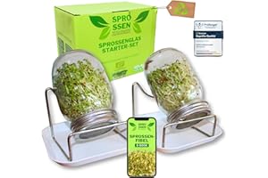 ‎GREEN SEEDS Sprossenzauber® Sprossenglas 2er Set 500ml inkl. E-Book – Edelstahl-Deckel & Auffangschale – Sprossen selber ziehen – Keimglas für Brokkoli, Alfalfa, Kresse – Einsteiger-Set für frische Microgreens