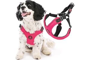 Gooby Uprząż sportowa bez ucieczki, różowa, S - bez duszenia, opatentowana neoprenowa uprząż dla małych psów z czteropunktową regulacją - idealna uprząż dla średnich psów bez ciągnięcia i małych psów