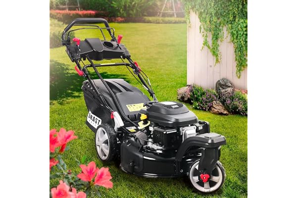 BRAST tondeuse thermique 3 roues TRIKE E-START 224cc 53cm tractée démarrage électrique mulching 4en1 capot en tôle en acier 60l - moteur 4 temps de la marque française GT reglable