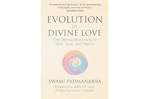 Evolution in Divine Love: The Eternal Becoming of God, Soul, and Matter (English Edition)