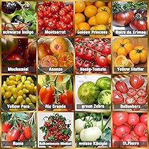 Tomaten Raritäten Saatgut-Box - 9 Historische Sorten Für Garten