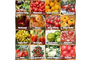 PRADEMIR Set de Semillas de Tomate 16 x 10 semillas Tomate Mezcla 100% natural de semillas recogidas a mano de Portugal, variedades raras y antiguas, semillas con alto índice de germinación, jardín, balcón