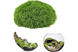 ddckj 200g Künstliches Moos Kunstmoos Zum Dekorieren Fake Moos Deko Kunstmoos Zum Basteln Bastelmoos für Dekomoos Wände Weihnachtsdekoratio Zubehör Modellbau (Hellgrün)