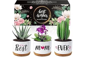 Buioata Christmas Mum Gifts from Daughter Son, Birthday Gifts for Mum on Her Birthday - Succulent Planters Best Mum Ever - Mummy Gifts for Mummy, Christmas Best Presents for Mum from Kids