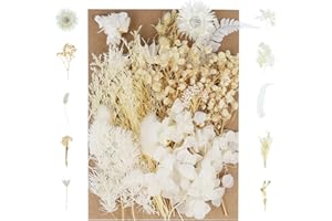Pinenuts Real Dried Pressed Flowers, Mixed Multiple Natural Flowers Leaves, Floral Art Home Decoration for DIY Resin Pendant, Candle Making and Nail Jewelry Crafts(White)