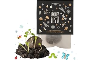 IDEENVERLAG HAMBURG 10x "Frohes Fest" Winter Samenbomben Weihnachten/treiben aus bei Kälte/kleine Geschenke Kollegen/Saatbomben Geschenk/Gäste Geschenke/Gastgeschenk Kinder/Dankeschön Geschenke Kollegen