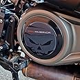 Resin Bike Motorcycle 3D Stickers Compatible with Harley Davidson Pan American 1250 - Special 1250 2020-23. Variator Cover Protections from Impact and Scratches. Resin Stickers - Gadget Moto