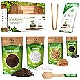 DIY Terrarium Kit for Plants - Starter Set for Garden in Bottle - Self Sustaining Ecosystem - Plant Terrarium Kit with Moss, Soil, Activated Charcoal, Stones and Tools (Set without Jar, M)