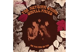 The Autumn Stone (Autumn Gold 7" Vinyl Single)