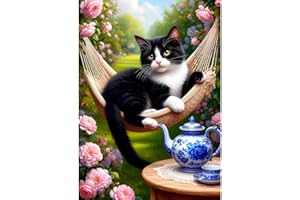 DPHERO Hammock Cat Diamond Painting Kits for Beginners Adults,5D DIY Teapot Diamond Art Kits,Round Full Drill Garden Gem Art Crafts Kits,DIY Painting by Numbers for Home Wall Decor 12x16 inch