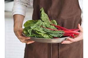 ROOT SOURCE Swiss Chard Red Plug Plants Grow Your Own Vegetables from Our Premium Quality Plants 'Ready to Plant Now' Young Vegetable Plants ECO Friendly Packaging (12, Red)