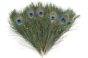 baotongle 15 pezzi piume di pavone naturali belle piume di coda di pavone per occhi piume decorazioni per fai da te Embellishments matrimonio decorazioni per la casa