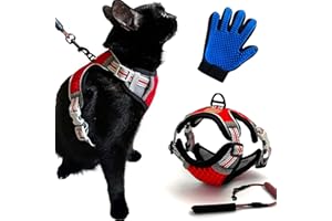 CutePet® - CutePet® - Harnais pour Chat, Chaton, Chiot Rouge S | Lot Harnais Laisse + Gant Brosse | Anti Evasion Réglable, Réfléchissant, Respirant